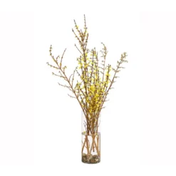 Forsythien-Bund, Ca. 80-100 Cm 7 Forsythien-Bund, Ca. 80-100 Cm -Angebote Biohort Store 8148959 WE FS 002 ForsythieBundDehnerExpressHerzig