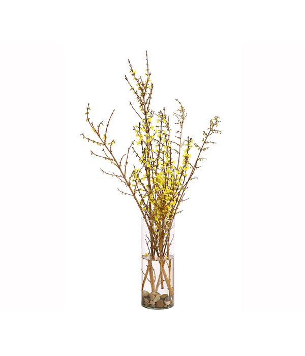 Forsythien-Bund, Ca. 80-100 Cm 4 Forsythien-Bund, Ca. 80-100 Cm – Bild 2