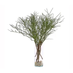 Heidelbeere-Bund, Ca. 40-50 Cm -Angebote Biohort Store 8148991 WE FS 001 HeidelbeereBundDehnerExpressHerzig 1