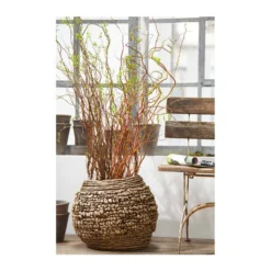 Korkenzieherweide-Bund -Angebote Biohort Store 8149114 PR MO 001 KorkenzieherweideBL4a