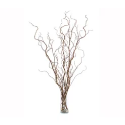 Korkenzieherweide-Bund -Angebote Biohort Store 8149114 WE FS 002 KorkenzieherweideBraunBundDehnerExpressHerzig