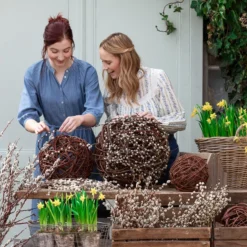 Narzissen 'Tête à Tête' In Birkentopf, Ca. Ø11 Cm -Angebote Biohort Store 8150476 WE MO 001 WeidenkaetzchenBundWeidenkugel