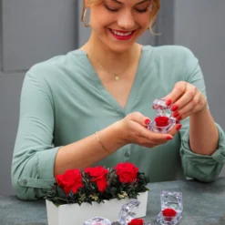 Longlife-Rose In Juwelenbox, Ca. Ø3,5 Cm -Angebote Biohort Store 8167041 WE MO 001 LonglifeArrangementElenRot