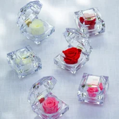 Longlife-Rose In Juwelenbox, Ca. Ø3,5 Cm -Angebote Biohort Store 8167413 8170573 8167041 WE MO LonglifeZinaRosa