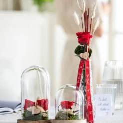 Longlife-Rose Mit Stiel, Rot -Angebote Biohort Store 8170151 WE MO 001 LonglifeRoseValentin