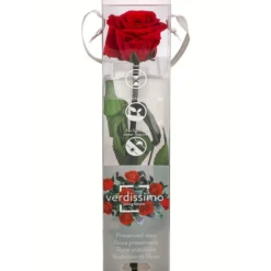 Longlife-Rose Mit Stiel, Rot -Angebote Biohort Store 8170532 PR FS 001 LLRoseminiGeschenk