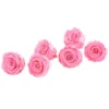 Longlife-Rose, Ca. Ø6 Cm -Angebote Biohort Store 8192502 WE FS 001 LonglifeRoseSPBabyPink