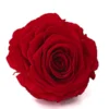 Longlife-Rose In Geschenkbox, Ca. Ø9 Cm -Angebote Biohort Store 8192726 PR FS 001 LonglifeRoseSORed