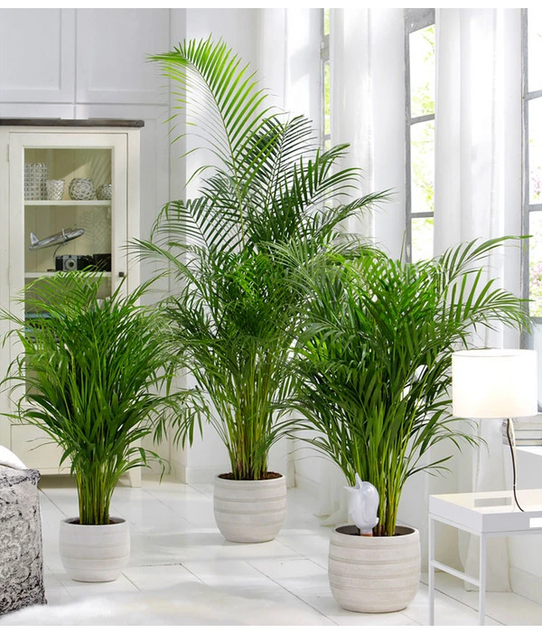 Scheurich Wasserspeicher Bördy XL – Bild 5