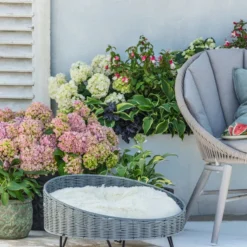 Fuchsie, Stehend, Verschiedene Farben -Angebote Biohort Store 8236713 WE MO 001 Hortensie