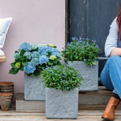 Vergissmeinnicht 'Myomark' -Angebote Biohort Store 8244519 WE MO 001 Vergissmeinicht