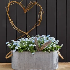 Vergissmeinnicht 'Myomark' -Angebote Biohort Store 8244519 WE MO 002 VergissmeinnichtMyomark