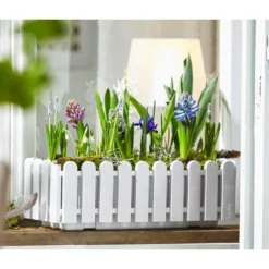 Netzblatt-Iris 'Harmony' -Angebote Biohort Store 8517187 WE MO 002 HyazintheHyazinthus1erSchneegloeckchenGalanthusElwesiiTraubenhyazintheMuscariArmeniacumIrisReticulata