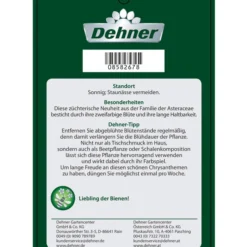 Chrysantheme 'Cirus' -Angebote Biohort Store 8582678 ChrysanthemeRainbowCircus Etikett 2