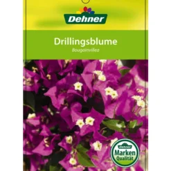 Drillingsblume, Ministamm -Angebote Biohort Store 8583700 Drillingsblume 28012016 1
