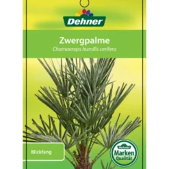 Blaue Zwergpalme -Angebote Biohort Store 8584401 Chamaeropshumiliscerifera 15112016 1