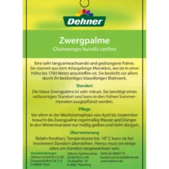 Blaue Zwergpalme -Angebote Biohort Store 8584401 Chamaeropshumiliscerifera 15112016 2