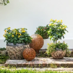 Gewürzrinde, Busch -Angebote Biohort Store 8584583 8584138 8584153 WE MO 002 PortulacSchale GC08 2022