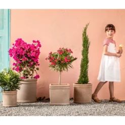 Drillingsblume 'Renate', Spalier -Angebote Biohort Store 8596868 WE MO 005 ToskanaDrillingsblume