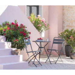 XXL Oleander, Verschiedene Sorten, Ca. 130-150 Cm -Angebote Biohort Store 8596900 WE MO 001 Oleander