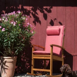 XXL Oleander, Verschiedene Sorten, Ca. 130-150 Cm -Angebote Biohort Store 8596900 WE MO 002 OleanderSolitaerDehnerSchaukelstuhlDakota