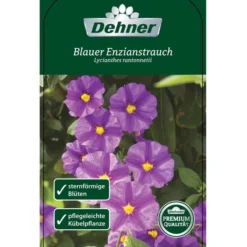 Blauer Enzianstrauch -Angebote Biohort Store 8600835 BlauerEnzianstrauch Etikett 1