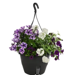 Blumenampel, Verschiedene Sorten -Angebote Biohort Store 8602864 WE FS 003 KombiampelMixT27
