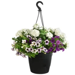 Blumenampel, Verschiedene Sorten -Angebote Biohort Store 8602864 WE FS 007 KombiampelMixT27