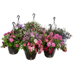 Blumenampel, Verschiedene Sorten