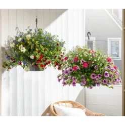 Blumenampel, Verschiedene Sorten -Angebote Biohort Store 8602864 WE MO 002 KombiampelT27