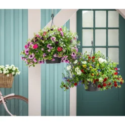 Blumenampel, Verschiedene Sorten -Angebote Biohort Store 8602864 WE MO 003 KombiampelVierPflanzenBlumenampel