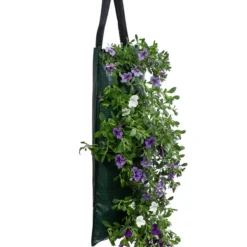 Wandhänger Mit Minihängepetunien-Trio, Verschiedene Farben -Angebote Biohort Store 8602989 WE FS 002 MinihaengepetWandhaenger