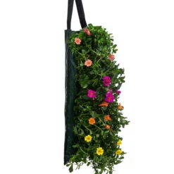 Wandhänger Mit Portulakröschen, Verschiedene Sorten -Angebote Biohort Store 8602997 WE FS 001 WandhaengerPortulakroeschenBunt
