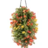Wandhänger Mit Portulakröschen, Verschiedene Sorten -Angebote Biohort Store 8602997 WE FS 001 WandhaengerPortulakroeschenOrange