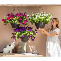 Hängepetunie, Ampel, Verschiedene Sorten, Weiß/pink 15 Hängepetunie, Ampel, Verschiedene Sorten, Weiß/pink -Angebote Biohort Store 8605164 WE MO 001 HaengepetunieAmpelT35BestofAmpeln