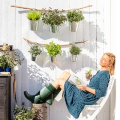 Dehner Gourmet Garten Oregano -Angebote Biohort Store 8610123 WE MO 001 Oregano Kraeuter 3