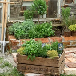 Dehner Gourmet Garten Salbei -Angebote Biohort Store 8610271 WE MO 001 ItalienKraeuter 2