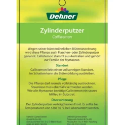 Zylinderputzer, Busch -Angebote Biohort Store 8620429 CallistemonEtikett2