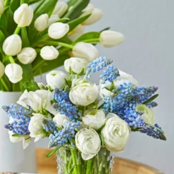 Traubenhyazinthe, Blau -Angebote Biohort Store 8662702 PR MO 038 Schnittblumen