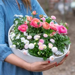 Beet- & Balkonpflanzen-Set Traum In Rosa, 6-teilig -Angebote Biohort Store 8800039 WE MO 001 BeetBalkonSetTrauminRosa