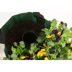 Wandhänger Mit Hornveilchen, Verschiedene Sorten -Angebote Biohort Store 8809048 WE DE 003 ViolaWandhaenger