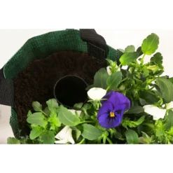 Wandhänger Mit Hornveilchen, Verschiedene Sorten -Angebote Biohort Store 8809048 WE DE 004 ViolaWandhaenger