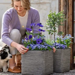 Vergissmeinnicht 'Myomark' -Angebote Biohort Store 8809386 WE MO 001 FrueheFarbenBlau