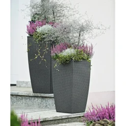 Knospenheide 'Hilda®' -Angebote Biohort Store 8810319 8815789 8811184 WE MO 017 Gruen Mood Herzig