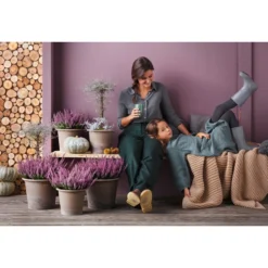 Knospenheide 'Hilda®' -Angebote Biohort Store 8810319 PR MO 003 CallunaHildaT11Knospenheide 8811184 CorokiaCotoneasterT12ZickzackstrauchGC20