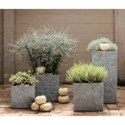 Zickzackstrauch -Angebote Biohort Store 8811184 7084932 8805913 WE MO 001 Zickzackstrauch Gitterkraut Knospenheide