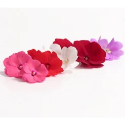 Edellieschen, Verschiedene Farben -Angebote Biohort Store 8814634 WE DE 001 EdellieschenImpatiensNeuguineaT12MixDehnerExpressHerzig