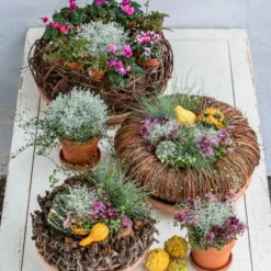 Dehner Kranz Twig, Ca. Ø30 Cm 6 Dehner Kranz Twig, Ca. Ø30 Cm -Angebote Biohort Store 8815763 6273635 WE MO 001 MuecaKrazWeinrebeFrost 1