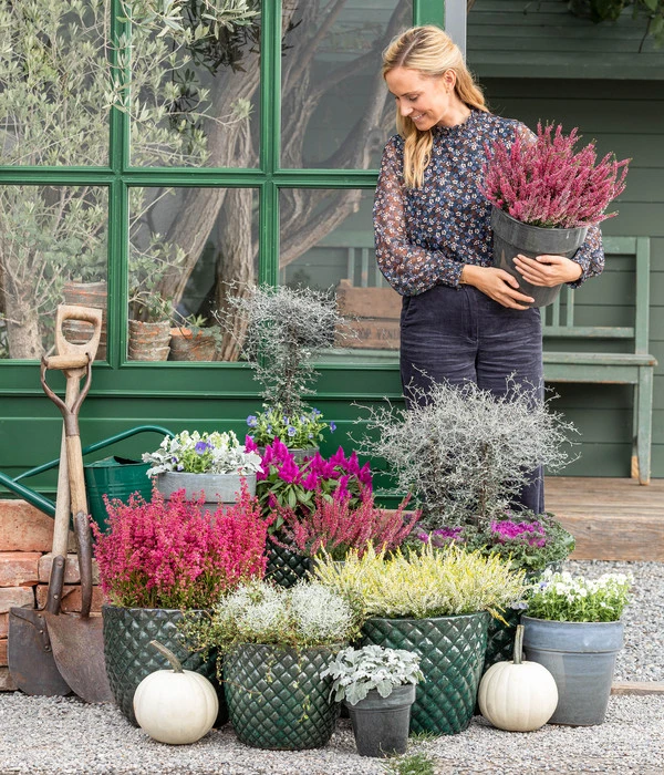 Federbusch 'Venezuela' 8 Federbusch 'Venezuela' – Bild 6