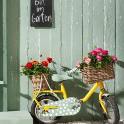 Ranunkel-Duo -Angebote Biohort Store 8817355 8823098 WE MO 013 RanunkelnHahnenfussRanunculusAsiaticusT11